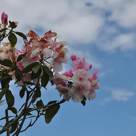 Hébergement de vacances Rio Molino *
