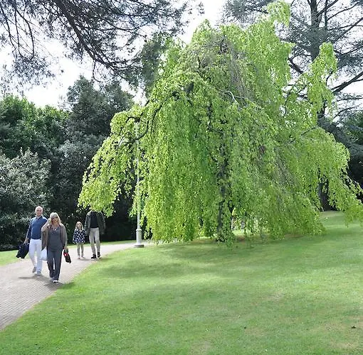Hébergement de vacances Rio Molino *