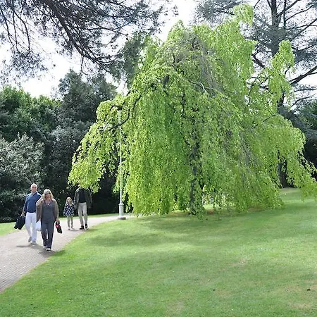 Nyaraló Rio Molino *
