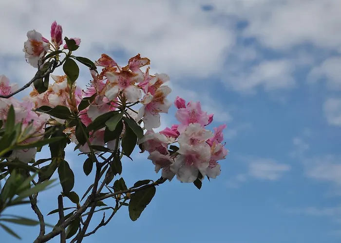 Tatil Evi Rio Molino *